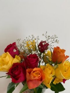 I love roses💕✨

I’m hoping to get back to drawing soon… comment below any suggestions you have on who I should draw!✏️👀

Also, has anyone got any recommendations for good affordable cameras? I’d like *maybe* try drawing myself?😆💕