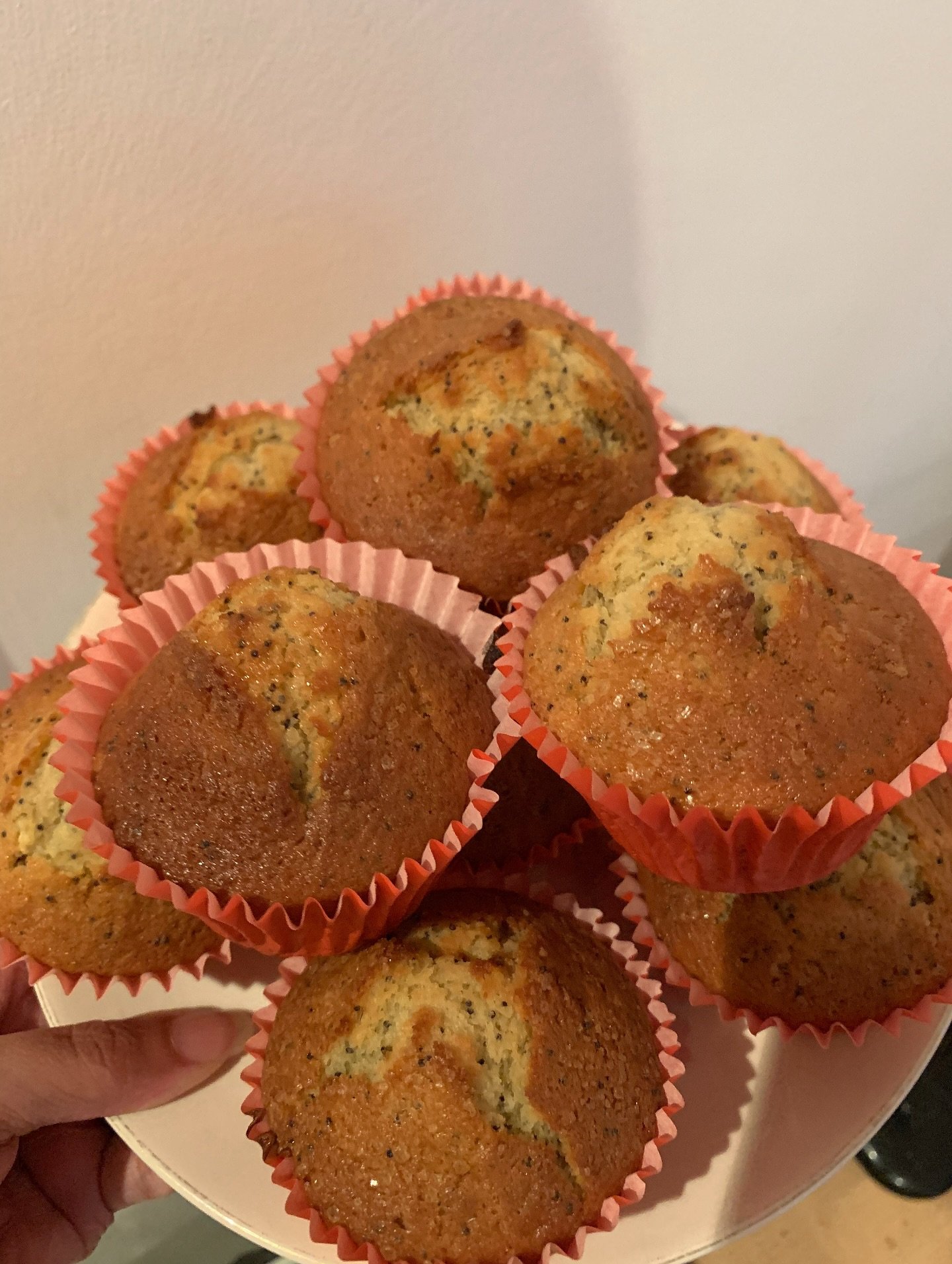 Anyone want some homemade poppyseed & lemon muffins? They’re delicious!🥰✨